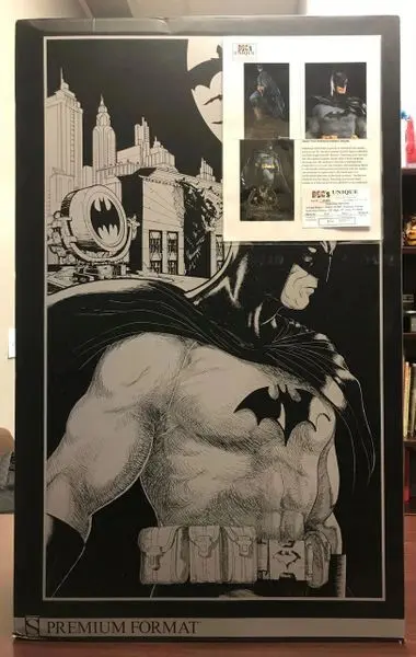 Batman figure box art featuring Gotham City
