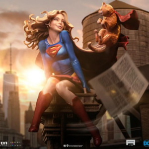 Supergirl and flying cat at sunset