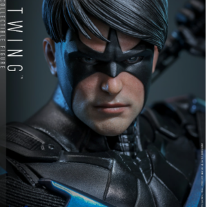 Nightwing Sixth Scale Figure Hot Toys - VGM78